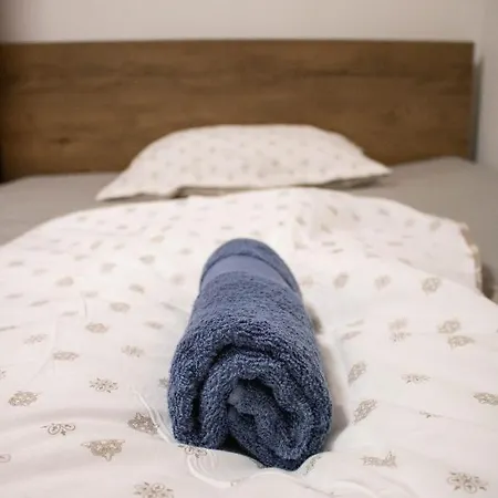 Small Affordable Apartment In Siska District 公寓 卢布尔雅那