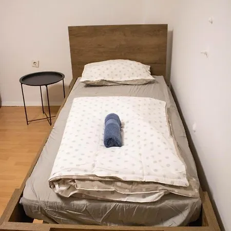 公寓 Small Affordable Apartment In Siska District 卢布尔雅那
