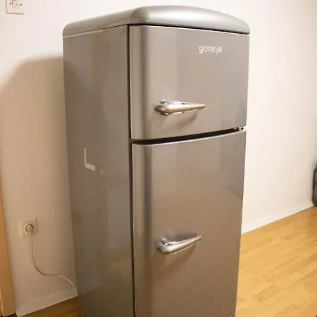 Small Affordable Apartment In Siska District 卢布尔雅那
